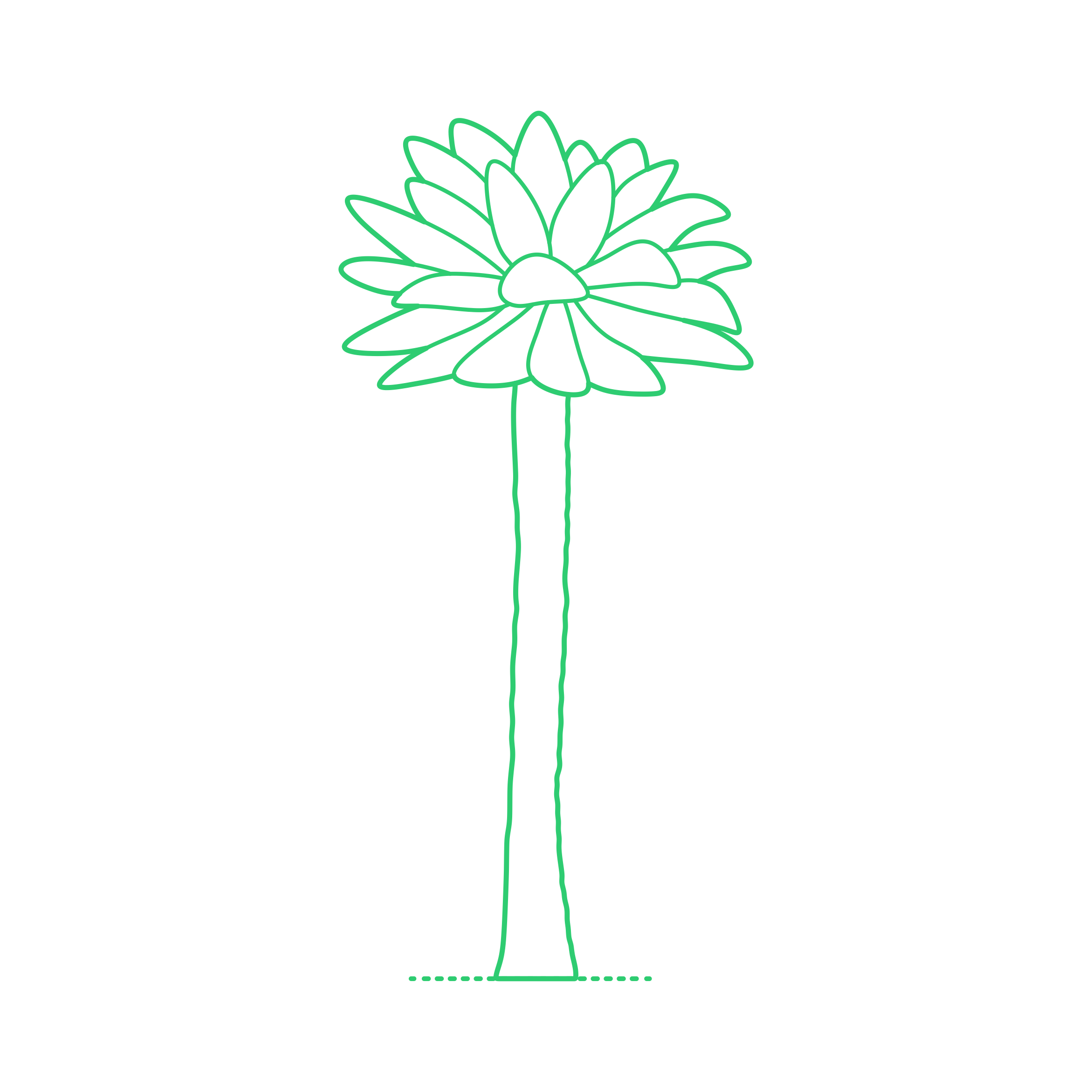 Plants Cycads Palm Corcho Craft Design Svg File Free Vectors